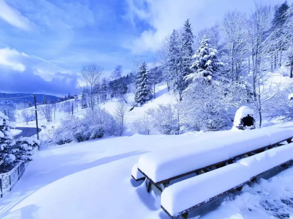 La neige est de retour au gîte !
