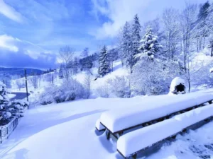 Lire la suite à propos de l’article La neige est de retour au gîte !